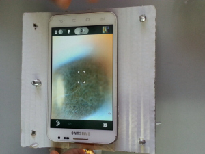 Microscopic view of a tea bag