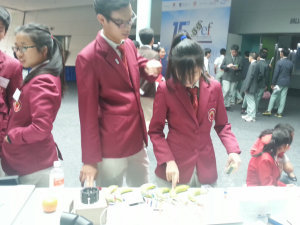 Bananas can replace pianos?