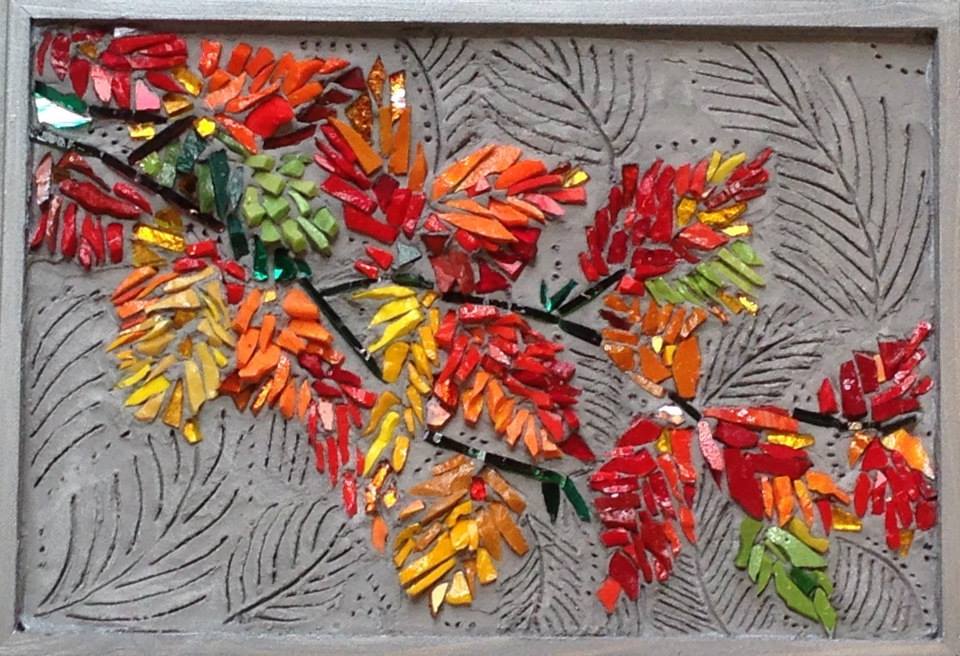 11156264_10152642309676065_4026002909407177373_n (2)