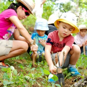 Ground Up Initiative