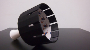 19484603986_e26b0207b8_z